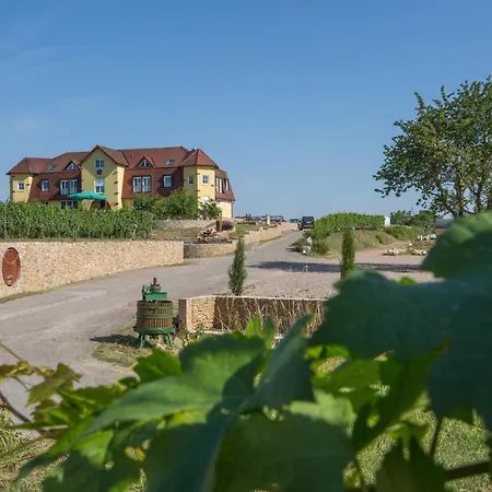Homestay Privatweingut Schmidt *