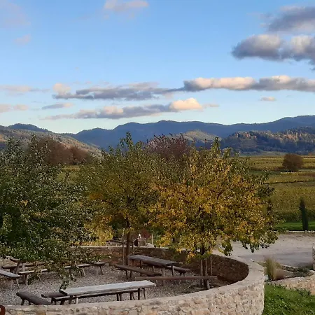 Homestay Privatweingut Schmidt Heitersheim