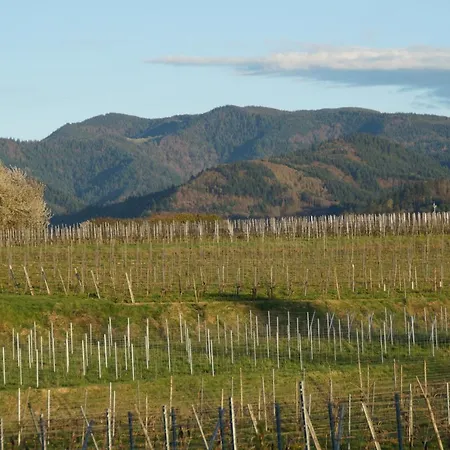 Privatweingut Schmidt * Heitersheim