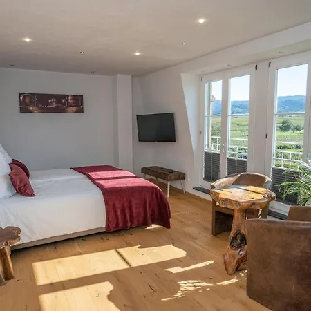 Privatweingut Schmidt Kwatera prywatna Heitersheim