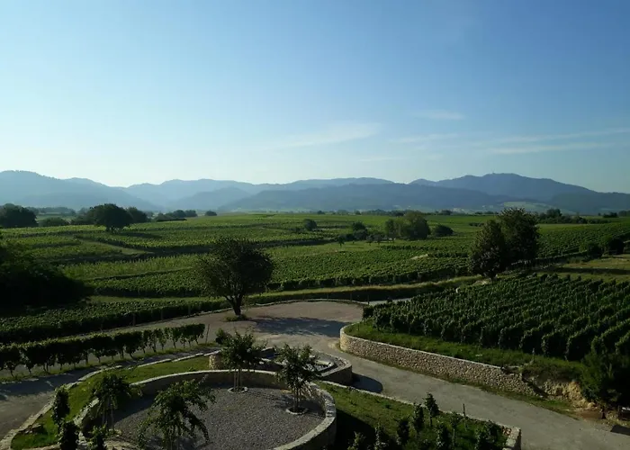 Privatweingut Schmidt Heitersheim